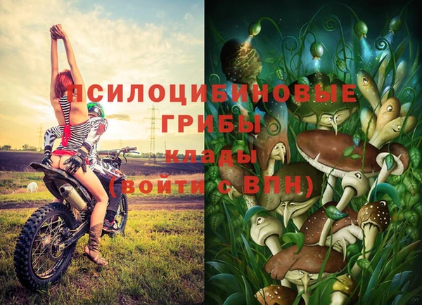 шишки Ладушкин