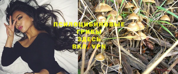 MDMA Лагань