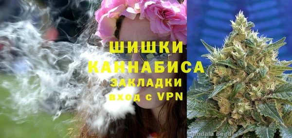 прущие крисы Лабытнанги