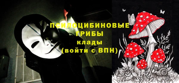 шишки Ладушкин