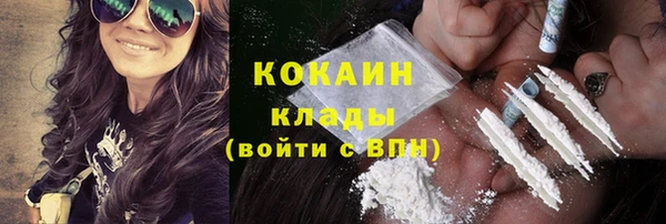 шишки Ладушкин