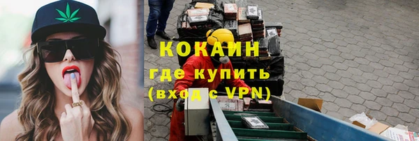 шишки Ладушкин